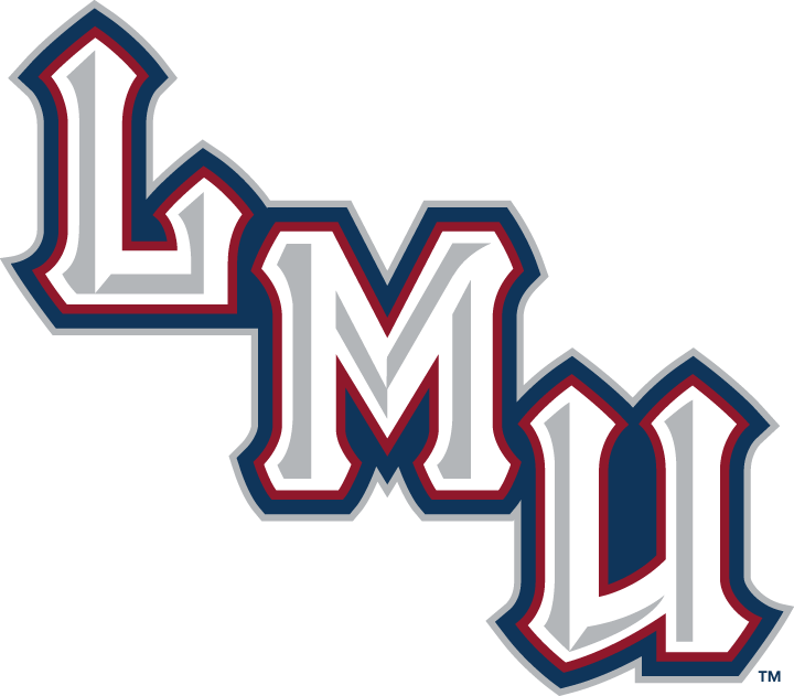 Loyola Marymount Lions 2001-Pres Wordmark Logo v2 diy fabric transfer